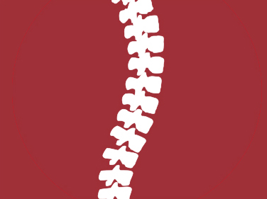 Spine
